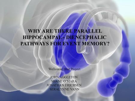 WHY ARE THERE PARALLEL HIPPOCAMPAL - DIENCEPHALIC PATHWAYS FOR EVENT MEMORY? Wellcome Trust Project JOHN AGGLETON SHANE O’MARA JONATHAN ERICHSEN SERALYNNE.