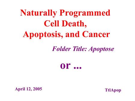 Naturally Programmed Cell Death, Apoptosis, and Cancer or... Folder Title: Apoptose April 12, 2005 TtlApop.