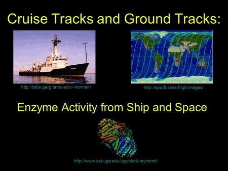Cruise Tracks and Ground Tracks: Enzyme Activity from Ship and Space