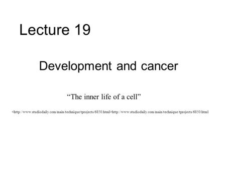 Lecture 19 Development and cancer  “The inner life of a cell”
