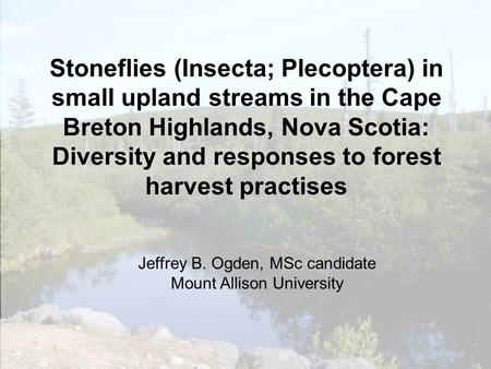 Stoneflies (Insecta; Plecoptera) in small upland streams in the Cape Breton Highlands, Nova Scotia: Diversity and responses to forest harvest practises.
