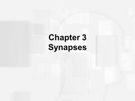 Chapter 3 Synapses.