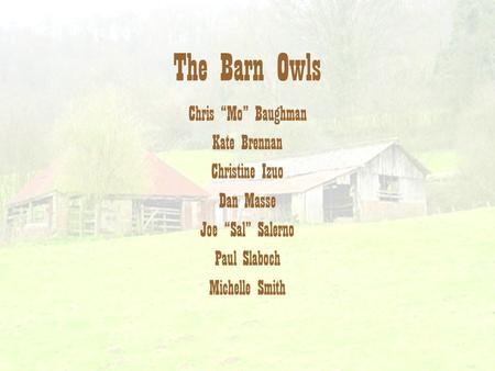 The Barn Owls Chris “Mo” Baughman Kate Brennan Christine Izuo Dan Masse Joe “Sal” Salerno Paul Slaboch Michelle Smith.