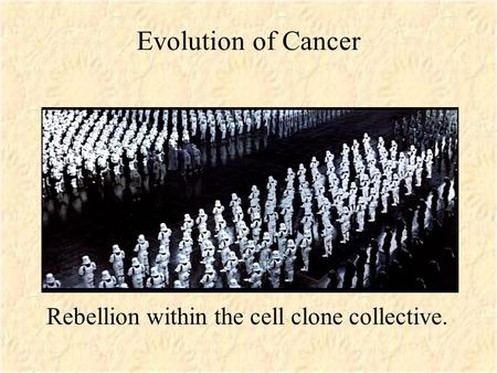 Evolution of Cancer Rebellion within the cell clone collective.