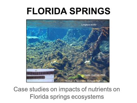 FLORIDA SPRINGS Case studies on impacts of nutrients on Florida springs ecosystems Source: J. Stevenson, Michigan State Univ.