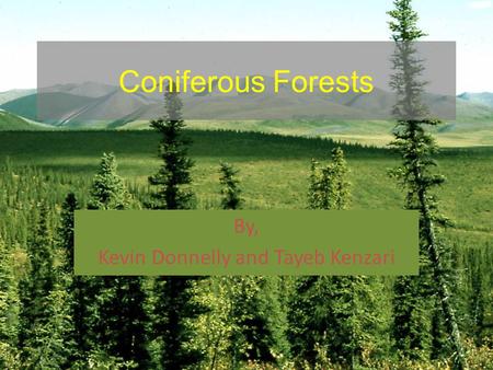 Coniferous Forests By, Kevin Donnelly and Tayeb Kenzari.