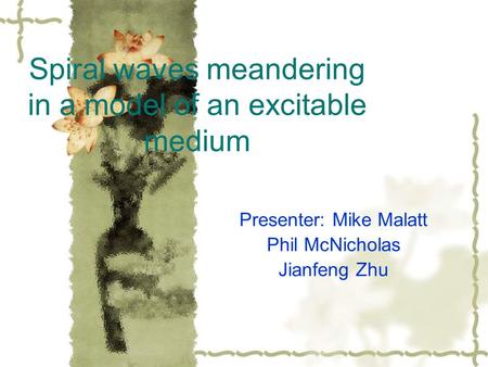 Spiral waves meandering in a model of an excitable medium Presenter: Mike Malatt Phil McNicholas Jianfeng Zhu.