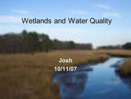 Wetlands and Water Quality Josh 10/11/07. Wetlands and why they are important. One reason wetlands are important is because they support many different.