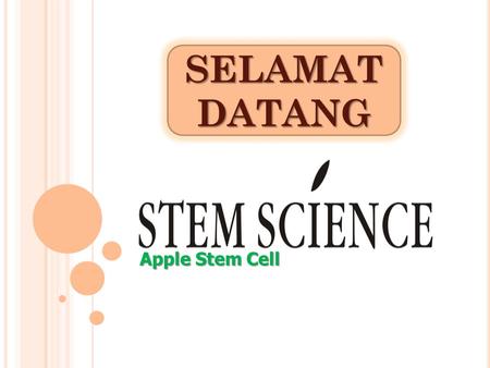 SELAMAT DATANG Apple Stem Cell.