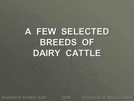 A FEW SELECTED BREEDS OF DAIRY CATTLE Stephen R Schafer, EdD 2008 University of Nevada-Reno.