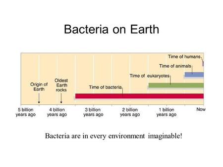 Bacteria on Earth Bacteria are in every environment imaginable!