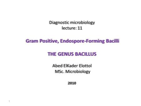 Diagnostic microbiology lecture: 11 Gram Positive, Endospore-Forming Bacilli THE GENUS BACILLUS Abed ElKader Elottol MSc. Microbiology 2010 Diagnostic.