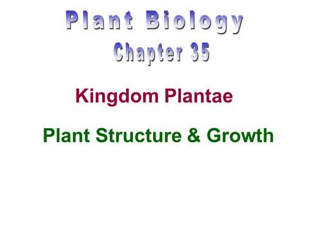 Plant Structure & Growth