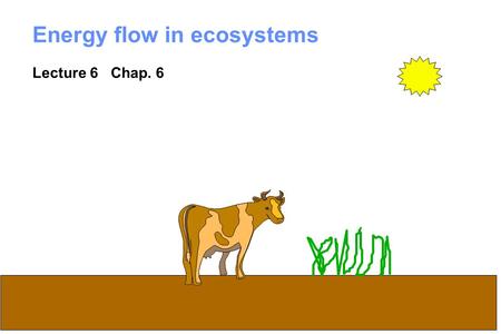 1 Energy flow in ecosystems Lecture 6 Chap. 6. 2 What is an ecosystem? System = regularly interacting and interdependent components forming a unified.