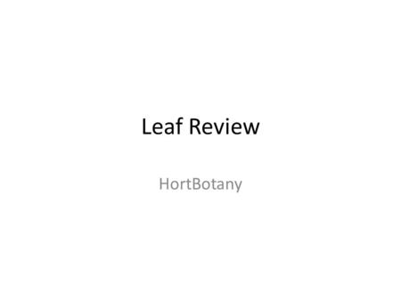 Leaf Review HortBotany. 1.Leaf Arrangement? Answer: Whorled.