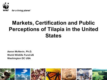 Markets, Certification and Public Perceptions of Tilapia in the United States Aaron McNevin, Ph.D. World Wildlife Fund-US Washington DC USA.