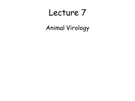 Lecture 7 Animal Virology.