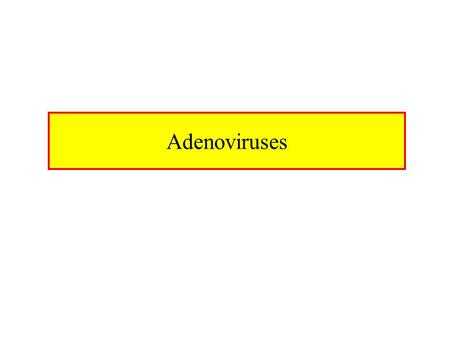 Adenoviruses. Characteristics of Adenoviruses Name originates from Greek word “adenas” which means gland, site from which were initially isolated Naked.
