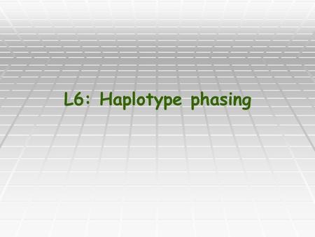 L6: Haplotype phasing. Genotypes and Haplotypes Each individual has two “copies” of each chromosome. Each individual has two “copies” of each chromosome.
