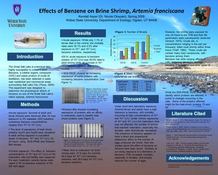 Effects of Benzene on Brine Shrimp, Artemia franciscana Kendall Asper (Dr. Nicole Okazaki), Spring 2008 Weber State University, Department of Zoology;
