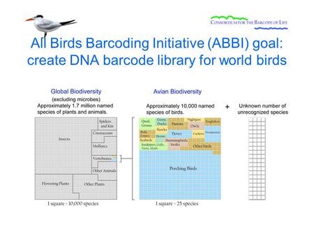 All Birds Barcoding Initiative (ABBI) goal: create DNA barcode library for world birds.