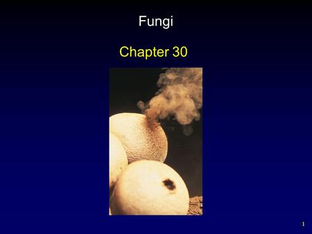 1 Fungi Chapter 30. 2 Shared Characteristics Distinctive fungal features – Fungi are heterotrophs. – Fungi have several cell types. – Some fungi have.