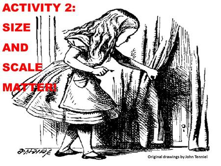 ACTIVITY 2: SIZE AND SCALE MATTER! Original drawings by John Tenniel.