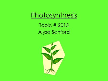 Photosynthesis Topic # 2015 Alysa Sanford.
