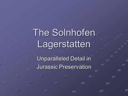 The Solnhofen Lagerstatten Unparalleled Detail in Jurassic Preservation.
