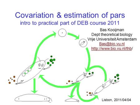 Covariation & estimation of pars intro to practical part of DEB course 2011 Bas Kooijman Dept theoretical biology Vrije Universiteit Amsterdam