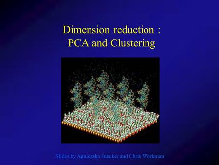 Dimension reduction : PCA and Clustering Slides by Agnieszka Juncker and Chris Workman.
