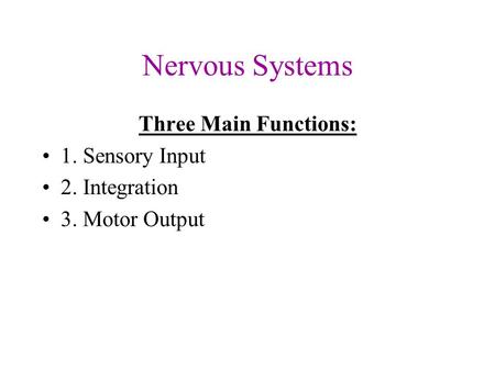Nervous Systems Three Main Functions: 1. Sensory Input 2. Integration