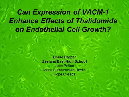 Can Expression of VACM-1 Enhance Effects of Thalidomide on Endothelial Cell Growth? Drake Harper Zeeland East High School John Pelton Maria Burnatowska-Hledin.