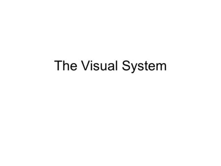 The Visual System. Figure 6.1 A cross-sectional view of the human eye Klein/Thorne: Biological Psychology © 2007 by Worth Publishers.