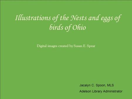 Illustrations of the Nests and eggs of birds of Ohio Digital images created by Susan E. Spear Jacalyn C. Spoon, MLS Adelson Library Administrator.