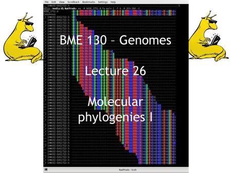 BME 130 – Genomes Lecture 26 Molecular phylogenies I.