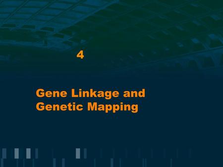 4 Gene Linkage and Genetic Mapping. Mendel’s Laws: Chromosomes Homologous pairs of chromosomes: contain genes whose information is often non- identical.