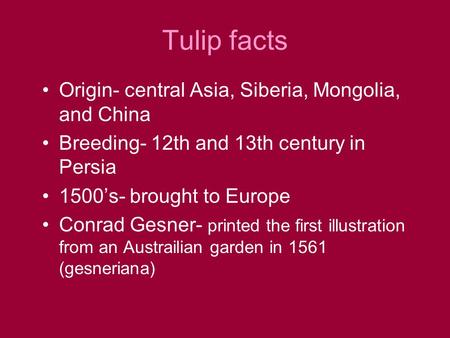 Tulip facts Origin- central Asia, Siberia, Mongolia, and China Breeding- 12th and 13th century in Persia 1500’s- brought to Europe Conrad Gesner- printed.