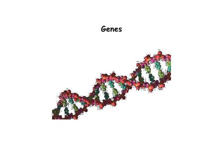 Genes. Outline  Genes: definitions  Molecular genetics - methodology  Genome Content  Molecular structure of mRNA-coding genes  Genetics  Gene regulation.