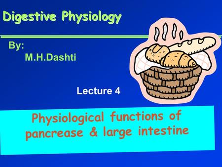 Physiological functions of pancrease & large intestine