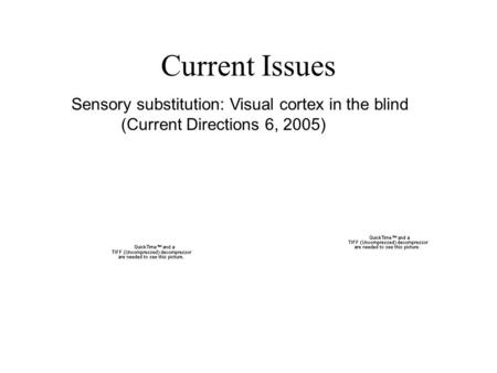 Current Issues Sensory substitution: Visual cortex in the blind (Current Directions 6, 2005)
