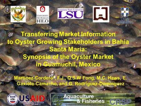 Transferring Market Information to Oyster Growing Stakeholders in Bahia Santa Maria: Synopsis of the Oyster Market in Guamuchil, Mexico Martínez-Cordero*,