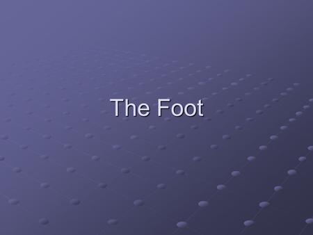 The Foot. Foot Anatomy The foot has many articulations which makes it a complex bone and soft tissue structure that undergoes a great deal of stress.