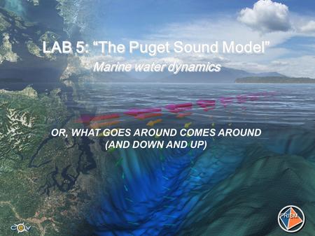 LAB 5: “The Puget Sound Model” Marine water dynamics PRISM OR, WHAT GOES AROUND COMES AROUND (AND DOWN AND UP)