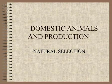 1 DOMESTIC ANIMALS AND PRODUCTION NATURAL SELECTION.
