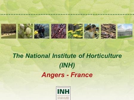 The National Institute of Horticulture (INH) Angers - France.