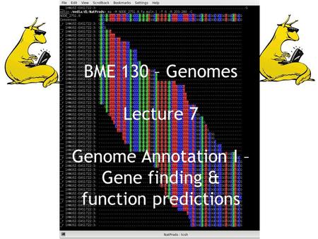 BME 130 – Genomes Lecture 7 Genome Annotation I – Gene finding & function predictions.