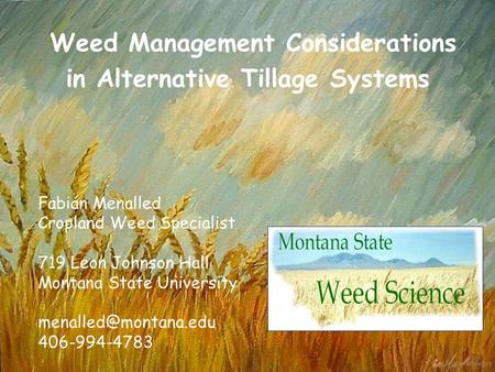 Weed Management Considerations in Alternative Tillage Systems Fabián Menalled Cropland Weed Specialist 719 Leon Johnson Hall Montana State University