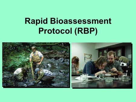 Rapid Bioassessment Protocol (RBP). Background to RBP changes in community/assemblage composition used to evaluate existence and degree of impact.
