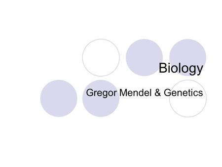 Biology Gregor Mendel & Genetics. Who is Gregor Mendel? An Austrian monk who loved to garden Through study and breeding of pea plants he unlocked mysteries.